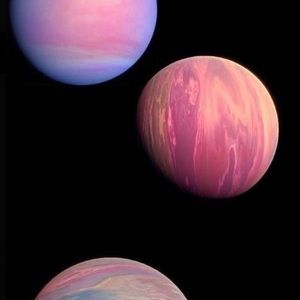 Meet your Posher, Bianka